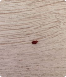 Фото компании  ЭкоПрофКлин 7