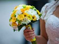 Фото компании  Флора 4
