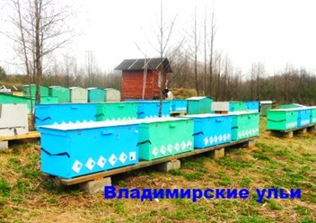 Фото компании РОО Центр Русского Пчеловодства 6