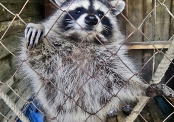 Фото компании АНО Импульс 3