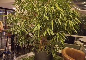 Фото компании  Botanic balance 3