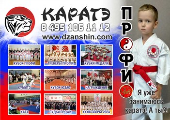 Фото компании  Лига профессионалов каратэ-до "ПРОФИ" 3