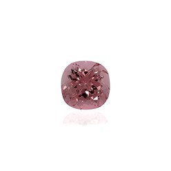 Фото компании ООО Супер Джемс (Super Gems) 70