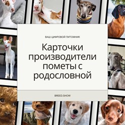 Фото компании ООО Breed Show 2