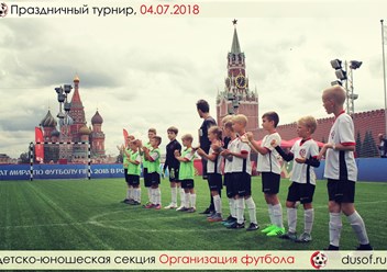 Фото компании  Организация футбола 1