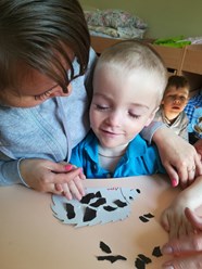 Фото компании АНО Светлый город 17