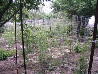 Фото компании  Бал Цветов 2