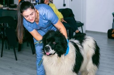 Фото компании  Veda 1