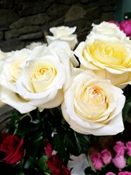 Фото компании  Без посредников 96 22