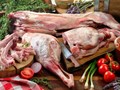 Фото компании ООО Аврора 2