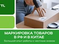 Фото компании  TTL 3