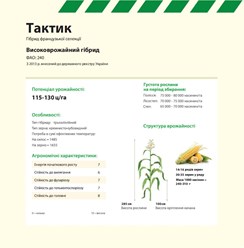 Семена кукурузы ТАКТИК Maisadour Semences (МАИСАДУР СЕМАНС)