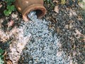 Фото компании  Не горюй, ресторан 2