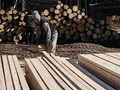 Фото компании ООО Доски в дом 3