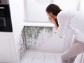 Фото компании ООО Эко СЭС Про 1