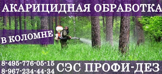 Фото компании ООО Профи - Дез 34