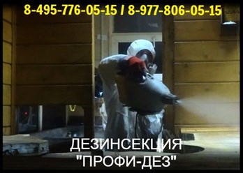 Дезинсекция 8-495-776-05-15