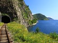 Фото компании АНО Асвейг 1