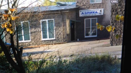 Фото компании ИП Кудрявцева Ветеринарная клиника АЭЛИКА 1