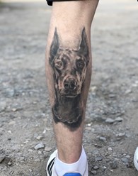 Тату в стиле реализм. Портрет добермана.