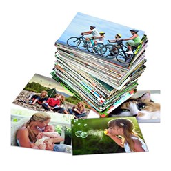 Фото компании  "Мегаполис" 4