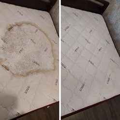 Фото компании  Белая стрекоза 1