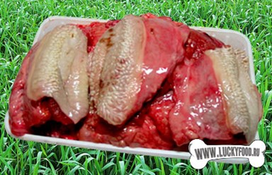 Фото компании  Luckyfood 23