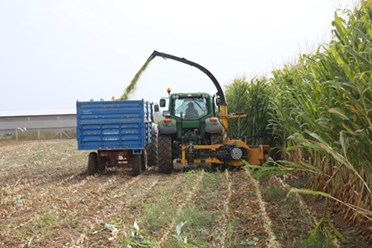 Силосоуборочный комбайн / Maize harvester / Maize chopper