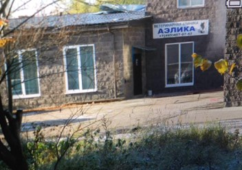 Фото компании ИП Кудрявцева Ветеринарная клиника АЭЛИКА 1