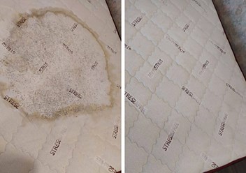 Фото компании  Белая стрекоза 1