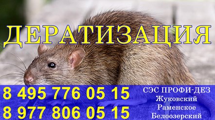 Фото компании ООО Профи - Дез 2