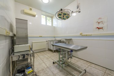 Фото компании  Манол 7