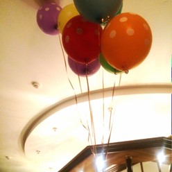 Фото компании  Белый Какаду, ресторан 3