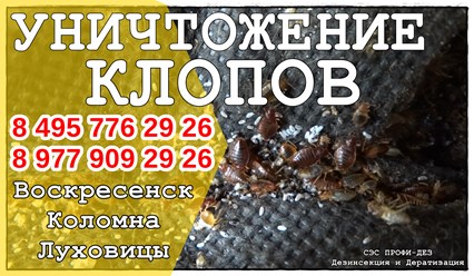 #дезинфекция 
#уничтожениеклопов 
#дезинсекция 
#уничтожениеклопов 
#уничтожениенасекомых 
#дезинсекцияколомна 
#дезинфекцияколомна 
#уничтожениекомаровколомна 
#уничтожениеклоповколомнепрофидез