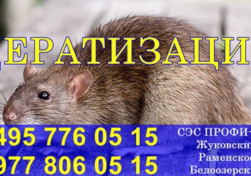 Фото компании ООО Профи - Дез 2
