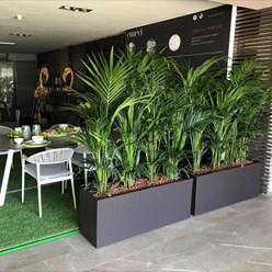 Фото компании  В цветах 65