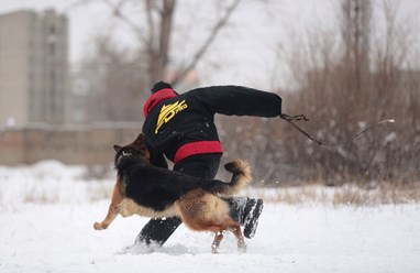 Фото компании  KARVIDEAN 1