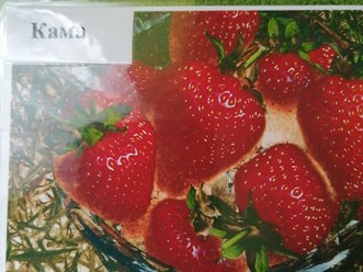 Кама