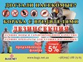 Услуги дезинсекции - борьбы с насекомыми-вредителями