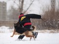 Фото компании  KARVIDEAN 1