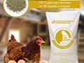 Сбалансированный комбикорм для кур-несушек в период яйцекладки, обеспечивает высокую продуктивность и повышает прочность яичной скорлупы. Нет необходимости в дополнительных подкормках. Пик яйценоскост