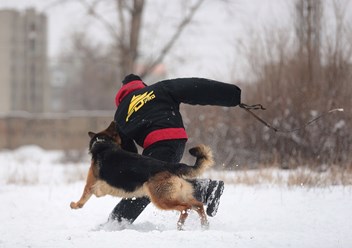 Фото компании  KARVIDEAN 1