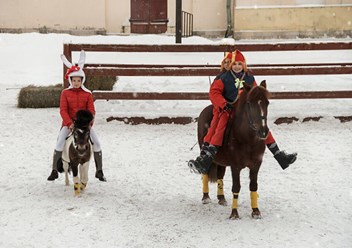 Фото компании ООО Конный Дом 2