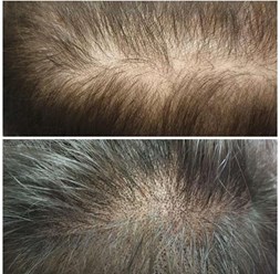 Фото компании  Cocos 8