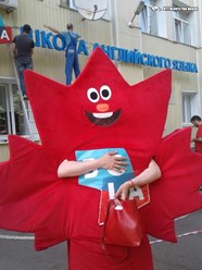 Фото компании ИП BTL Агентство Акула 72