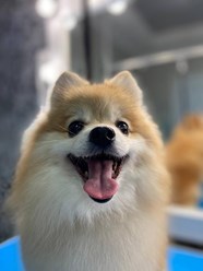 Фото компании  Fuzzy 7