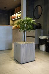 Фото компании ООО НТС Бетон 20