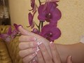 Фото компании  "Орхидея" 6