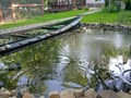 Территория турбазы