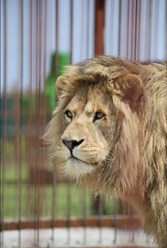 Фото компании ИП Чудесный 11